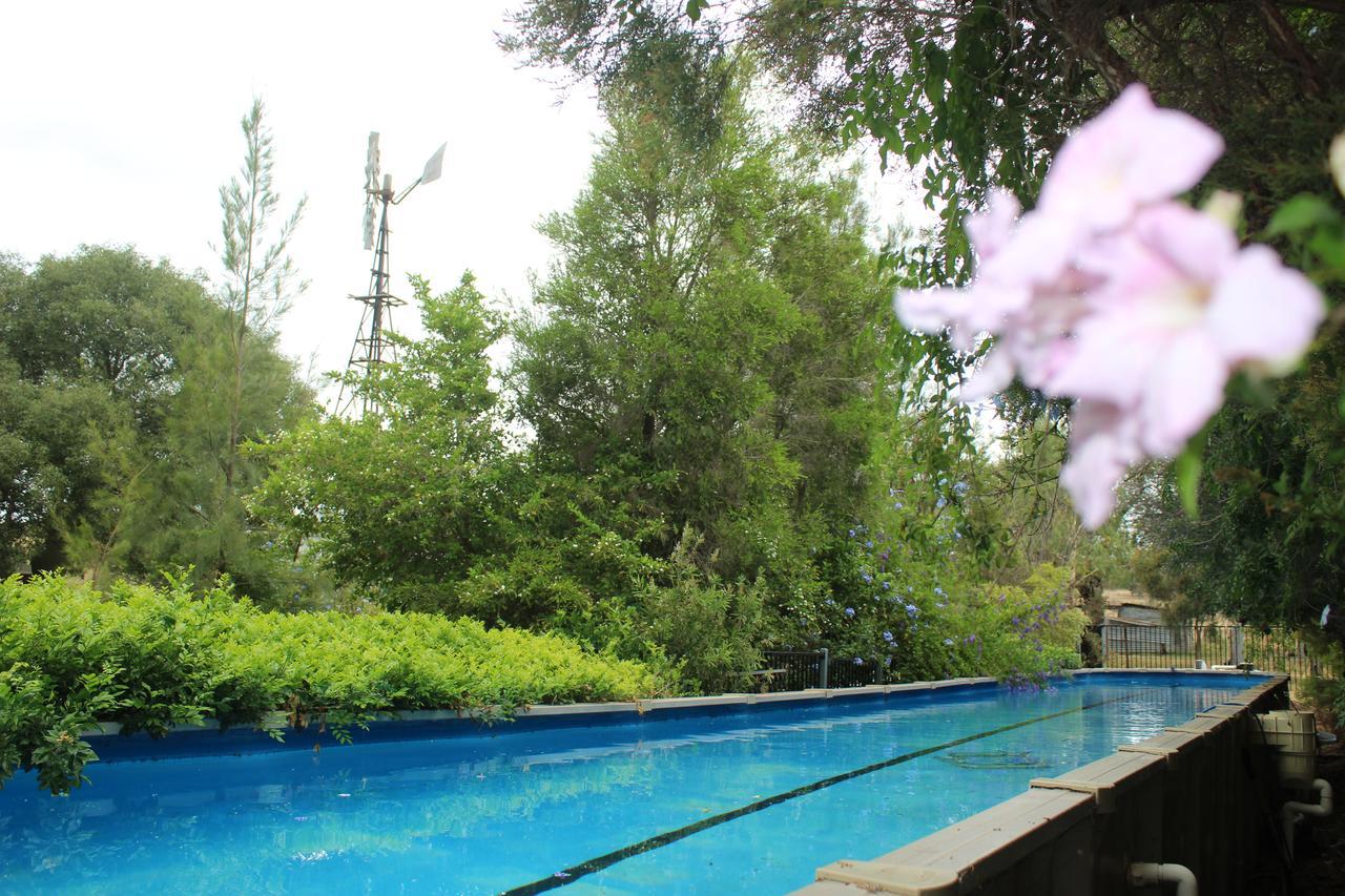 Rosebank Homestead And Farmstayドルビー エクステリア 写真